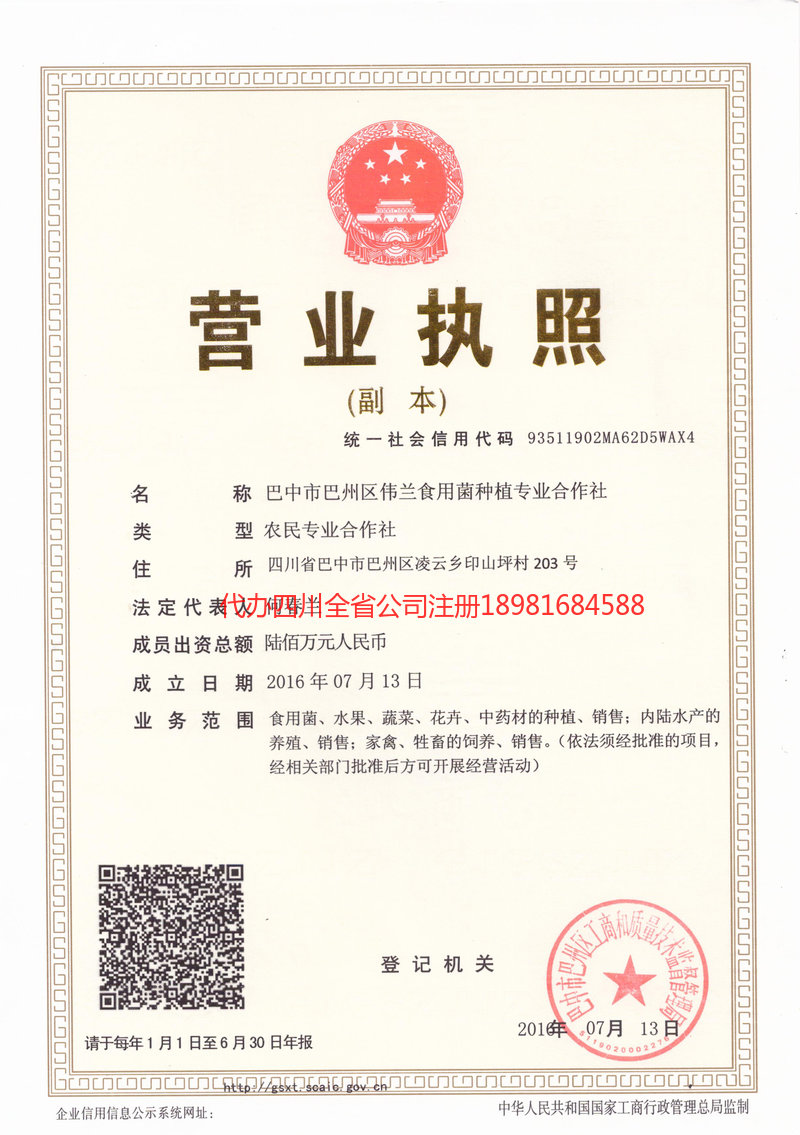 盐城盐城伟兰食用菌种植专业合作社